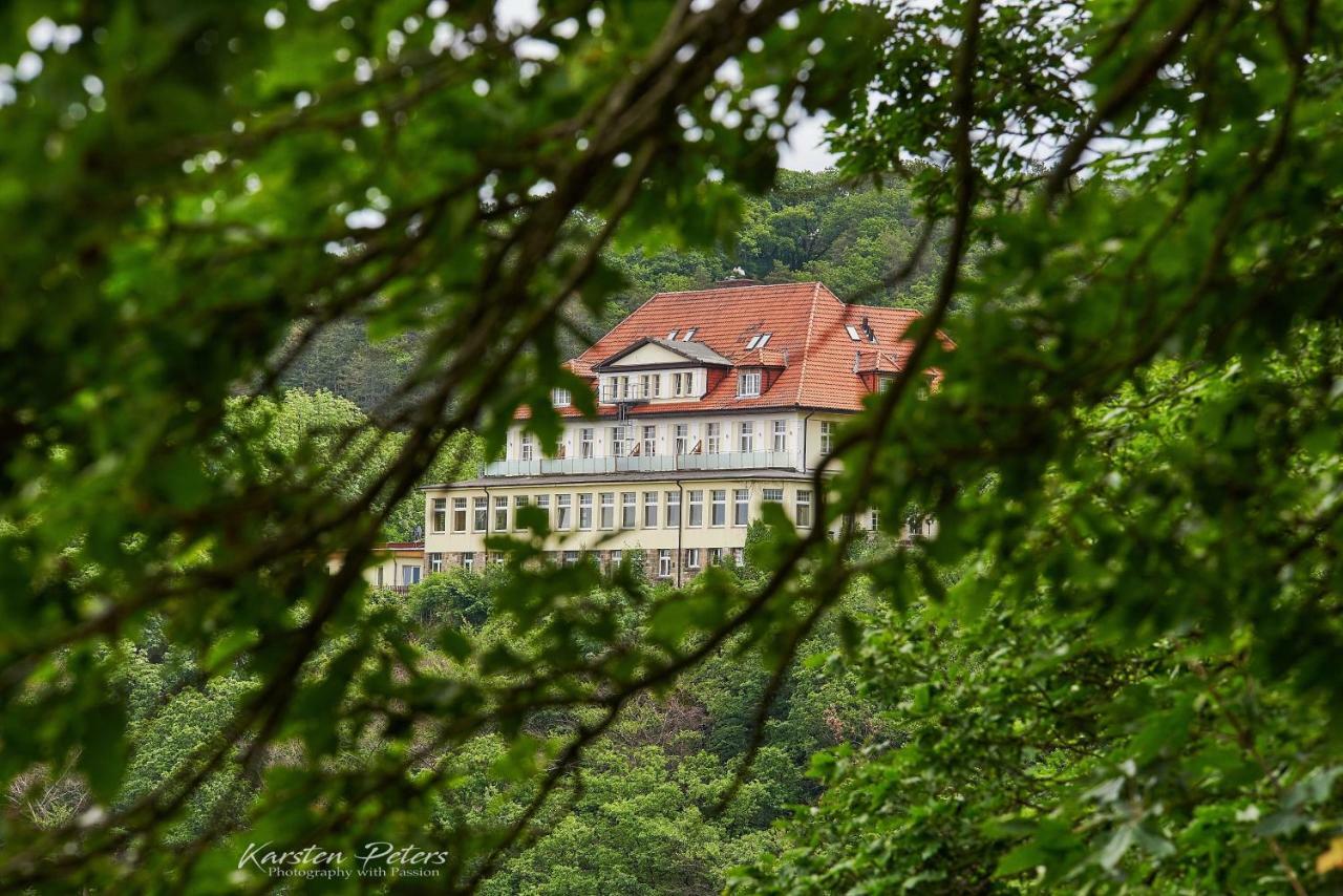 Hotel Stubenberg Gernrode  Екстериор снимка